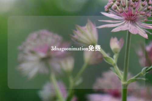 3dnagoonimation免费