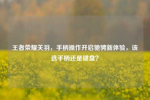 王者荣耀关羽，手柄操作开启驰骋新体验，该选手柄还是键盘？