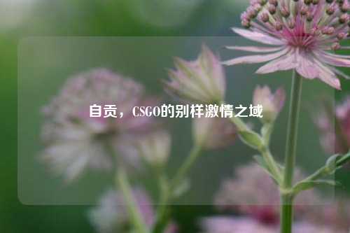 自贡,CSGO的别样 之域