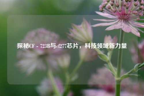 探秘CF - 723B与cf277芯片，科技领域新力量