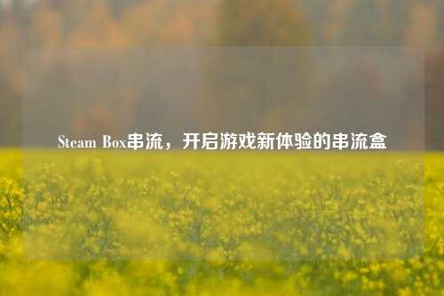 Steam Box串流，开启游戏新体验的串流盒