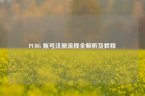 PUBG 账号注册流程全解析及教程