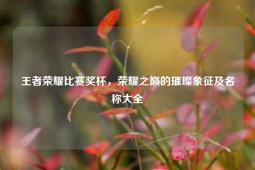 王者荣耀比赛奖杯，荣耀之巅的璀璨象征及名称大全