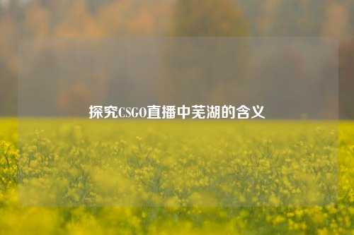 探究CSGO直播中芜湖的含义