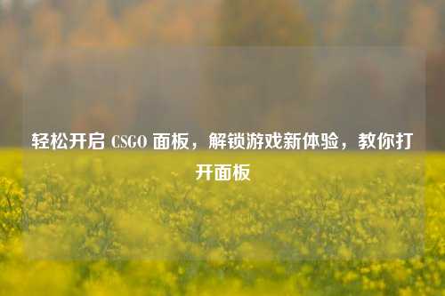 轻松开启 CSGO 面板,解锁游戏新体验,教你打开面板