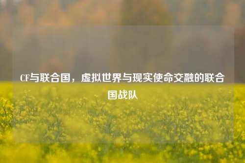 CF与联合国,虚拟世界与现实使命交融的联合国战队