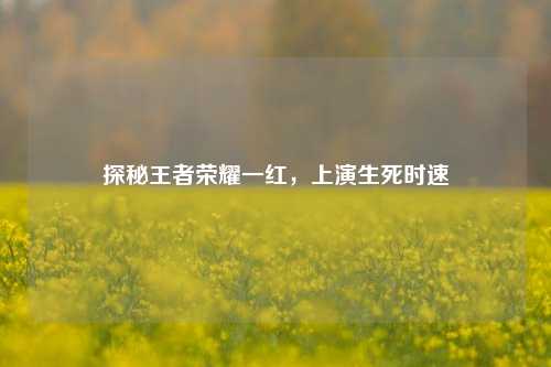 探秘王者荣耀一红,上演生死时速