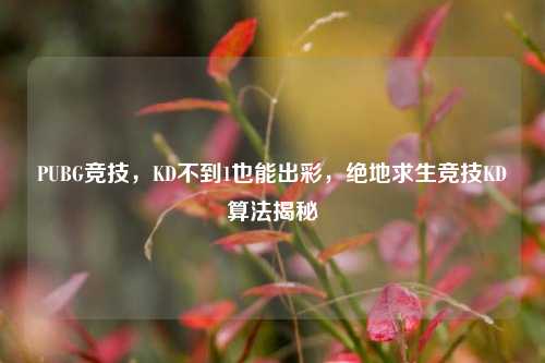 PUBG竞技,KD不到1也能出彩,绝地求生竞技KD算法揭秘