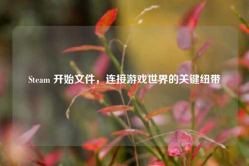 Steam 开始文件,连接游戏世界的关键纽带