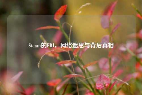 Steam的FBI, 迷思与背后真相