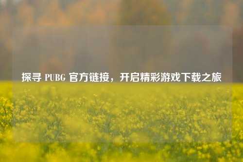 探寻 PUBG 官方链接,开启精彩游戏下载之旅