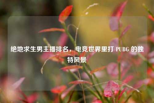 绝地求生男主播排名,电竞世界里打 PUBG 的独特风景