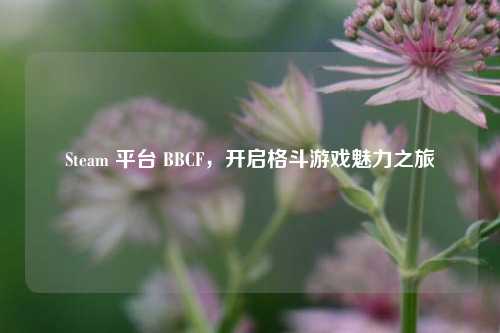 Steam 平台 BBCF,开启格斗游戏魅力之旅