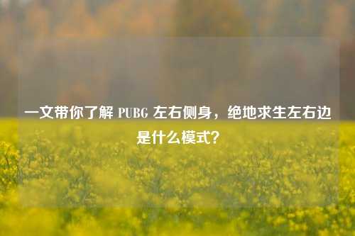 一文带你了解 PUBG 左右侧身,绝地求生左右边是什么模式?