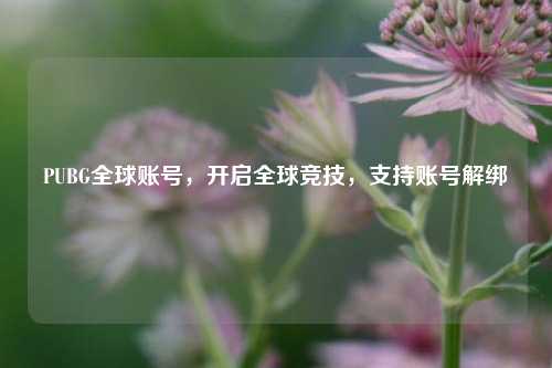 PUBG全球账号,开启全球竞技,支持账号解绑