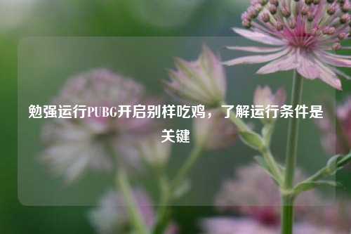 勉强运行PUBG开启别样吃鸡,了解运行条件是关键