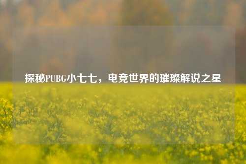 探秘PUBG小七七,电竞世界的璀璨解说之星