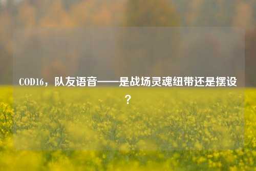 COD16,队友语音——是战场灵魂纽带还是摆设?