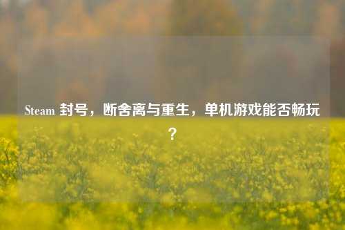 Steam 封号,断舍离与重生,单机游戏能否畅玩?