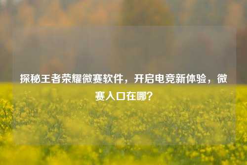 探秘王者荣耀微赛软件,开启电竞新体验,微赛入口在哪?