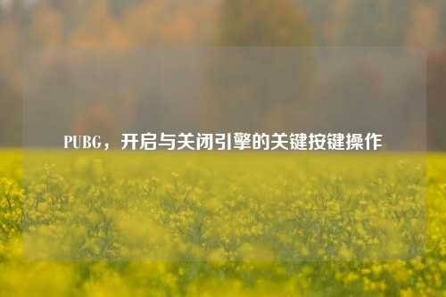 PUBG,开启与关闭引擎的关键按键操作