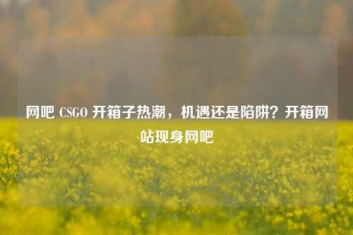 网吧 CSGO 开箱子热潮,机遇还是陷阱?开箱网站现身网吧