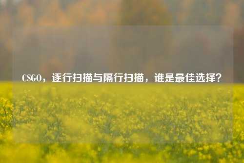 CSGO,逐行扫描与隔行扫描,谁是更佳选择?