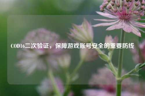 COD16二次验证,保障游戏账号安全的重要防线