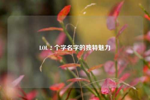 LOL 2 个字名字的独特魅力