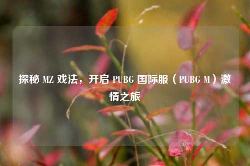 探秘 MZ 戏法,开启 PUBG 国际服(PUBG M) 之旅